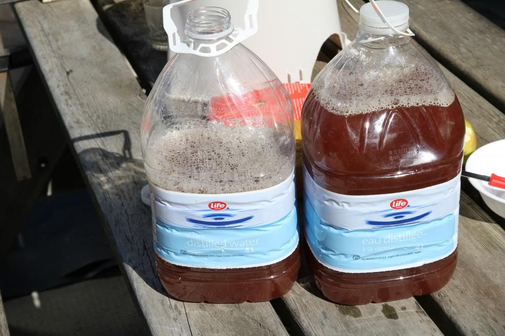 Sept. 4, 2012 photo IMG_6930_zps89b0a81a.jpg